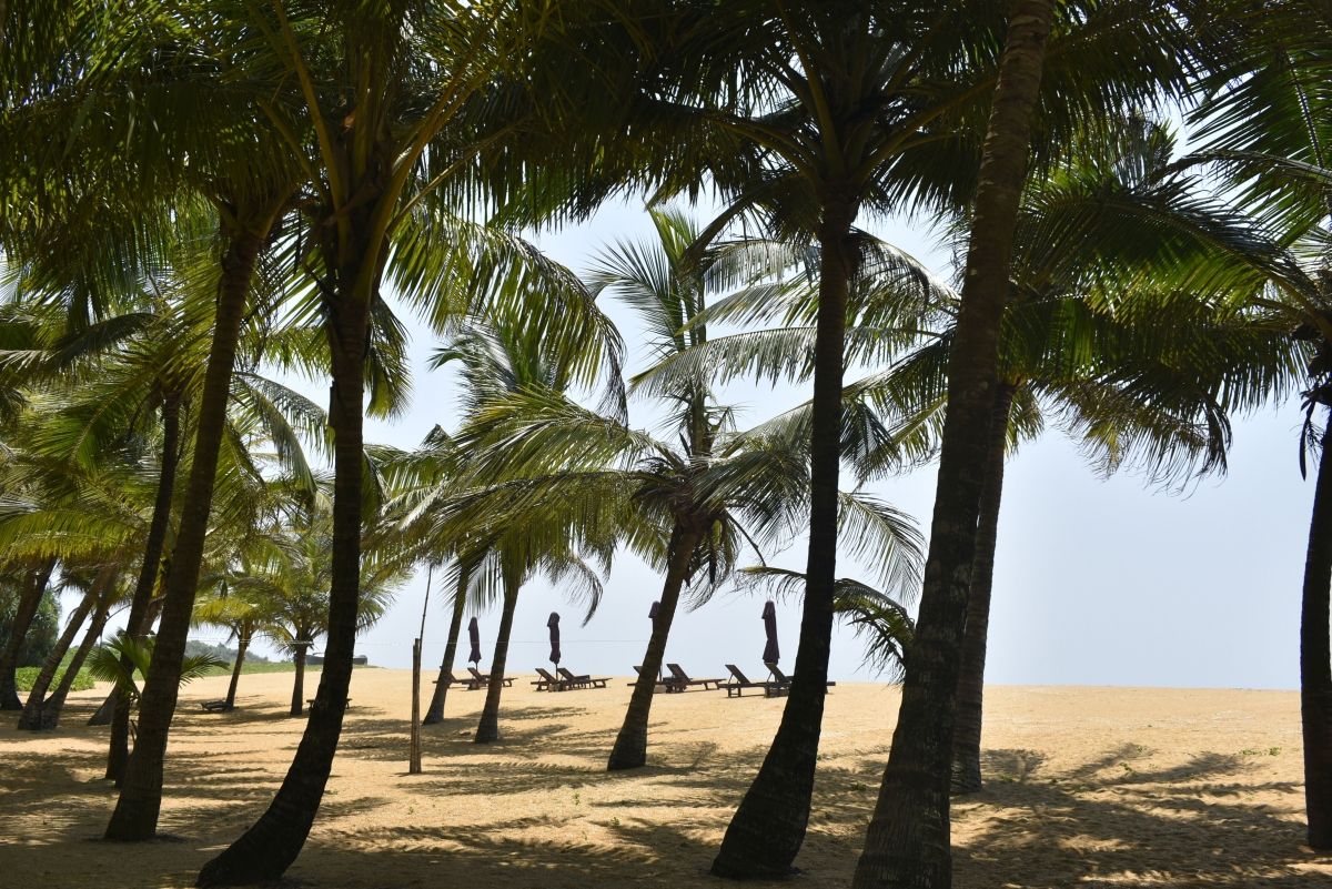 Шри Ланка - плаж
