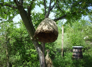 Das lebendige Bienenmuseum