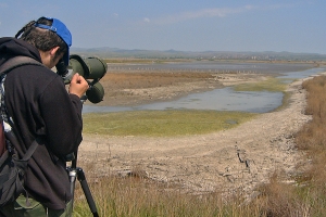 Die Seen von Burgas - Vogelbeobachtung