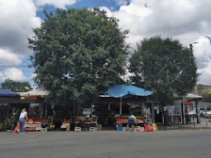 Wochenmarkt und Burgas